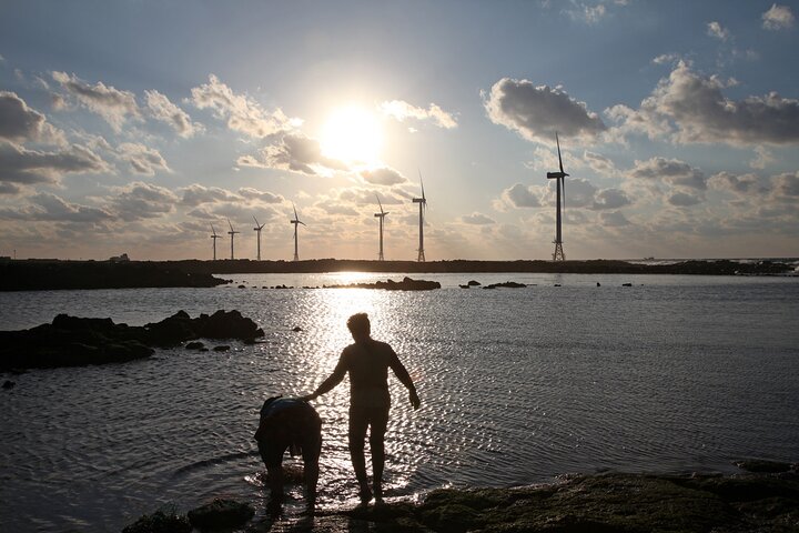 Volledige dag aanpasbare privétour naar Jeju Island