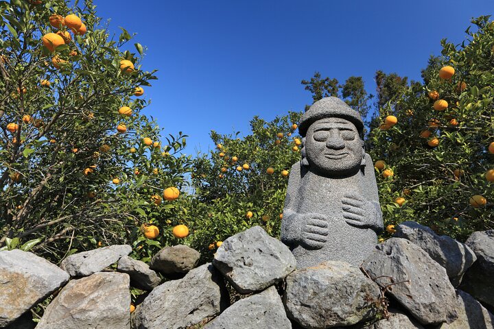 Volledige dag aanpasbare privétour naar Jeju Island