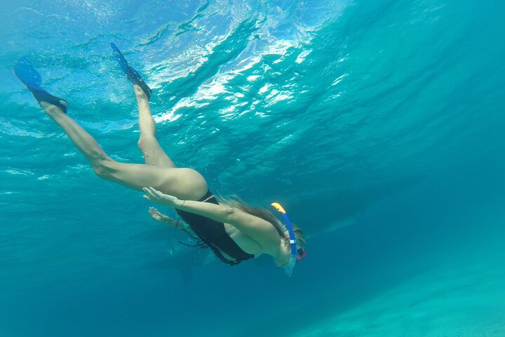 Naviga a Formentera con il tour in crociera in catamarano