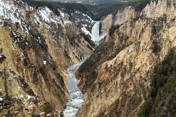 Yellowstone Full Day Lower Loop Van Tour