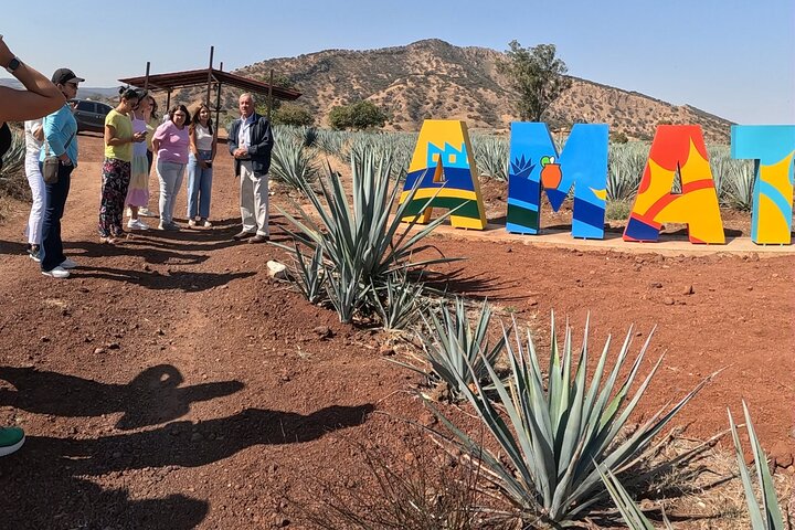 José Cuervo Tequila Tour & Agave Champs au départ de Guadalajara