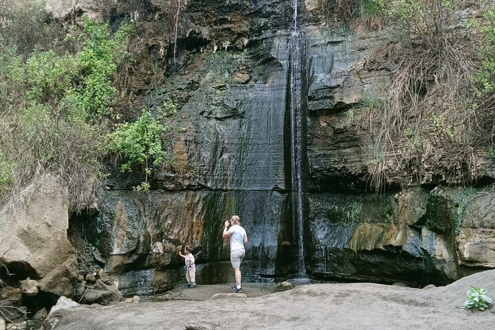 Excursion d'une journée à Hell's Gate et au lac Naivasha en bateau au départ de Nairobi