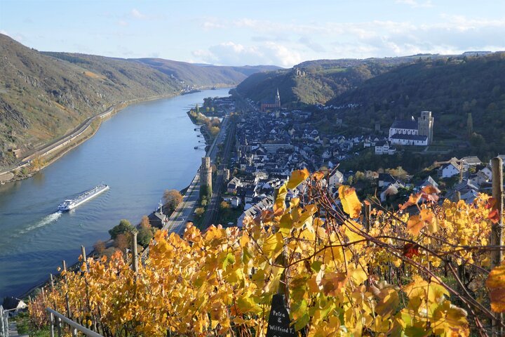 Koblenz till Unescos världsarv övre mellersta Rhendalen