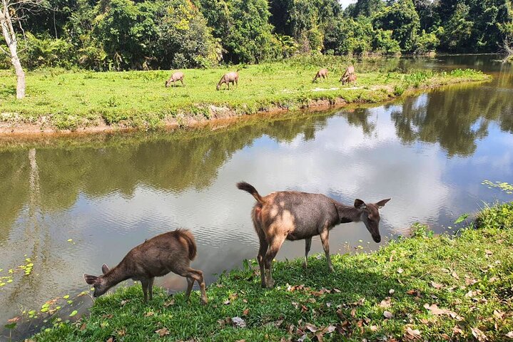 Hotell i nærheten av Khao Yai Waterfalls and Wilderness Private Chartered Tour