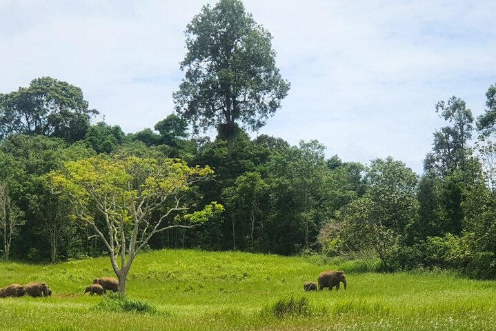 Hotell i nærheten av Khao Yai Waterfalls and Wilderness Private Chartered Tour