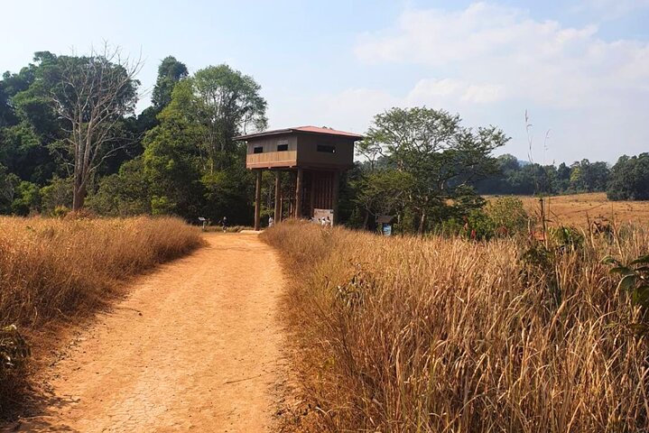 Hotell i nærheten av Khao Yai Waterfalls and Wilderness Private Chartered Tour