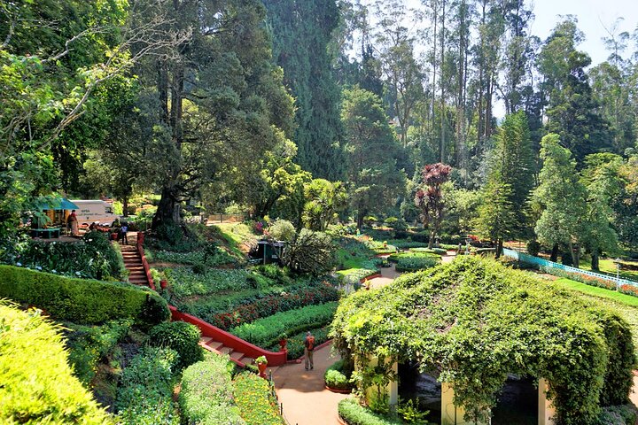 Coimbatore till Ooty dagsutflykt - Utforska en perfekt Hill Station