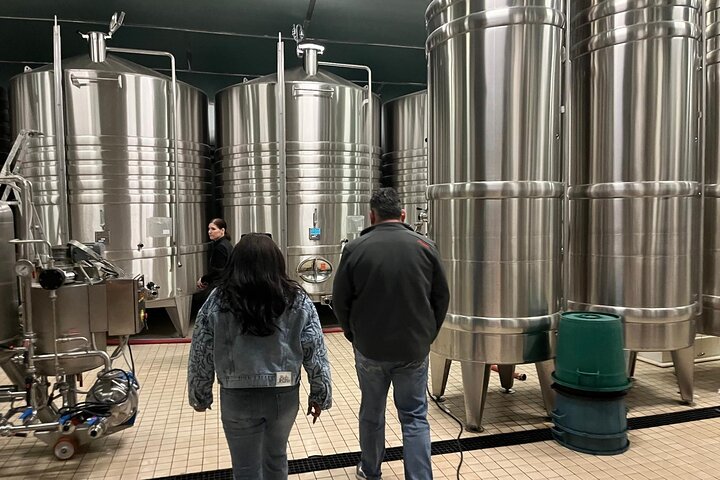 Visita di mezza giornata a Epernay South e degustazioni di champagne