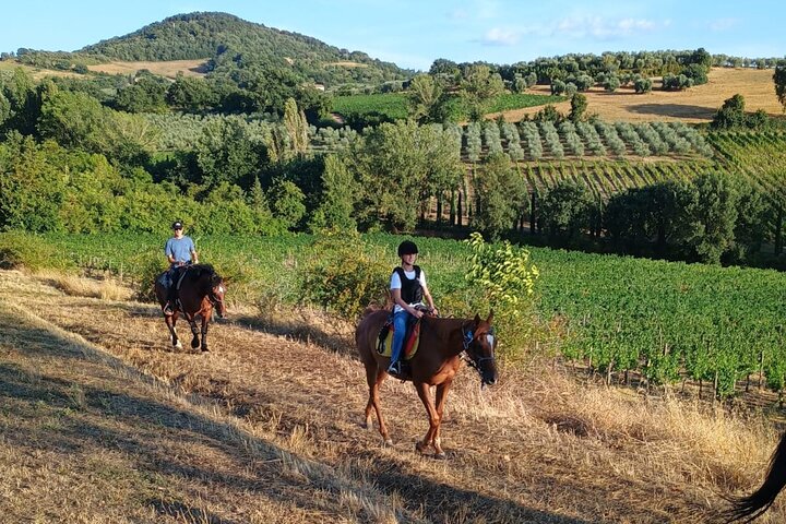 Passeio a cavalo pelos vinhedos em Montepulciano, Toscana