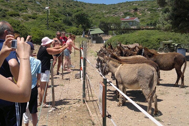 Cesme Boat Tour Cruzeiro nas Baías Escondidas com Paradas de Natação