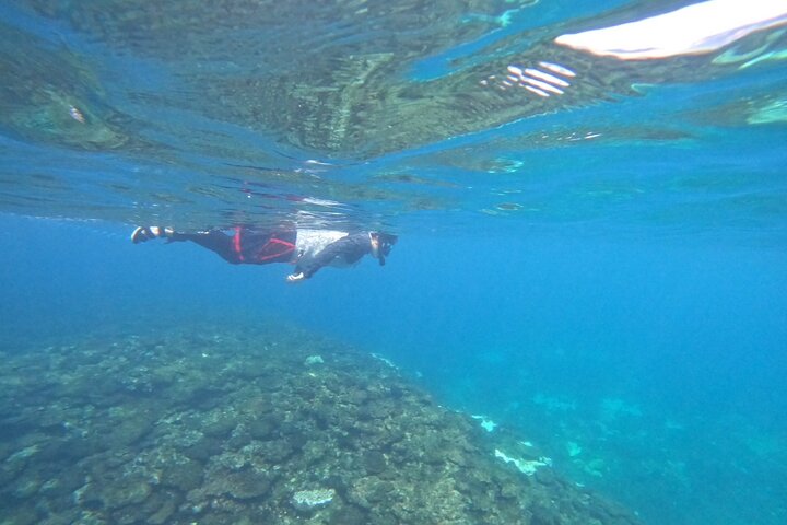 Okinawa West Coast Paddling äventyr Pickup tillgänglig