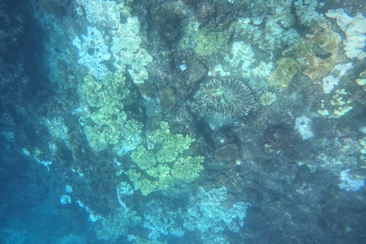 Okinawa West Coast Paddling äventyr Pickup tillgänglig