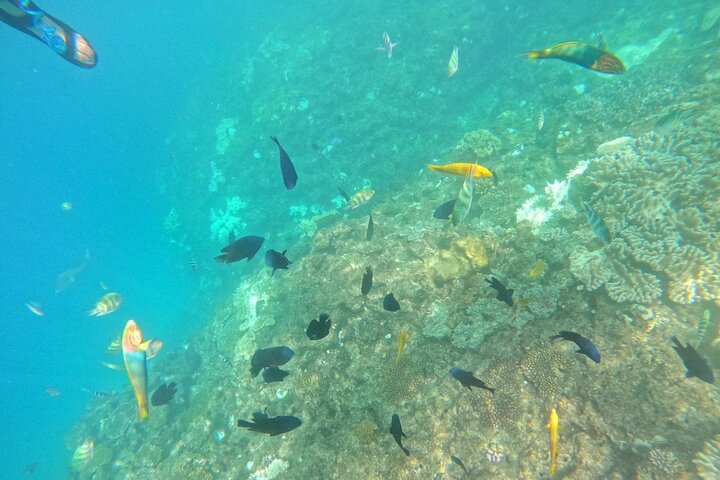Okinawa West Coast Paddling äventyr Pickup tillgänglig