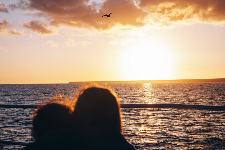 Lanzarote: Delfine bei Sonnenuntergang 2-stündige Segelkatamaran Tour