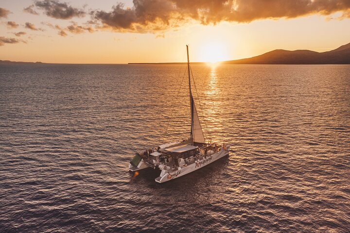 Lanzarote: Delfine bei Sonnenuntergang 2-stündige Segelkatamaran Tour