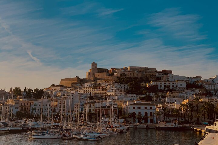 Ibizas höjdpunkter : Bästa guidade strandutflykt med upphämtning i hamn