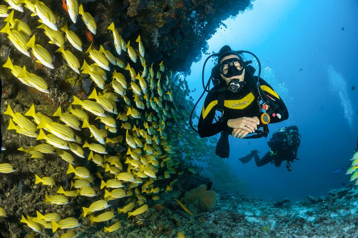 Buceo en Tulamben Buceo en el naufragio del USS Liberty