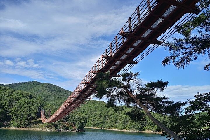 DMZ og Majang Lake Privat Guidet tur fra Seoul eller Incheon