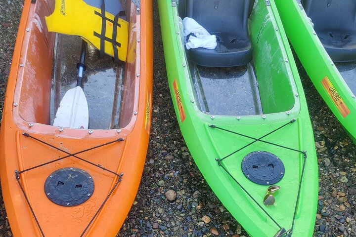 Privato Sea Glass Island Kayak Mattina + trasferimento