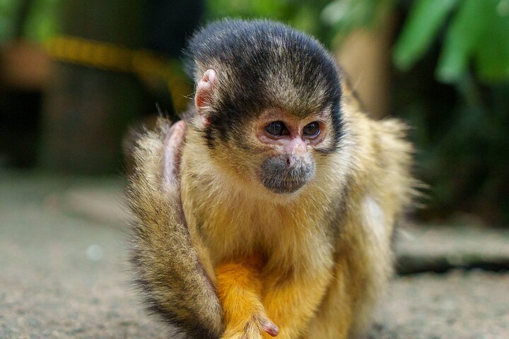 【Personnalisable】Ishigaki Private Tour - Jusqu'à 4 personnes, Forfait -