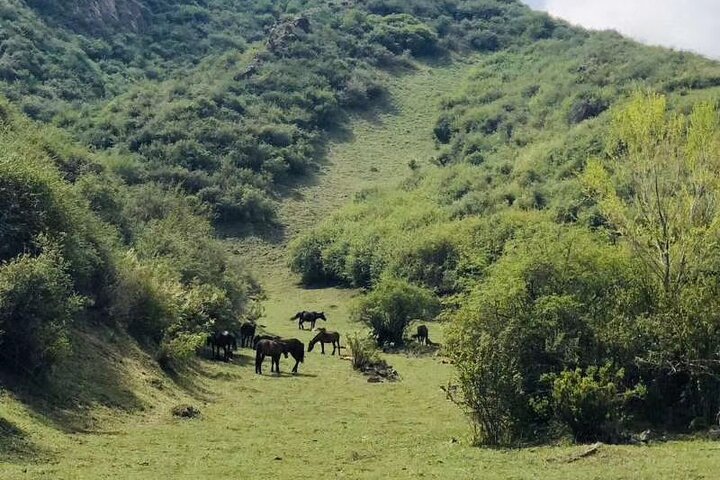 Excursión de un día del PRI al espectáculo de Nanshan y Erdaoqiao con cena en Urumqi
