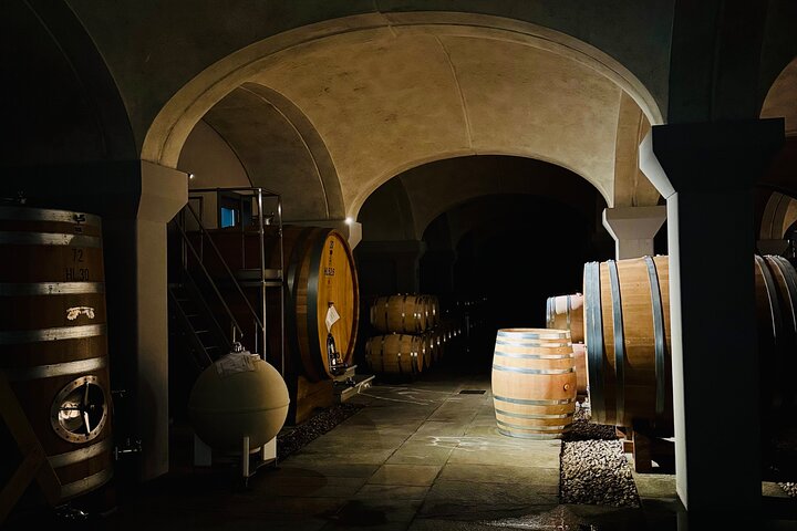 Proef Barolo en Barbaresco met een Sommelier. Wijntour door Piemonte