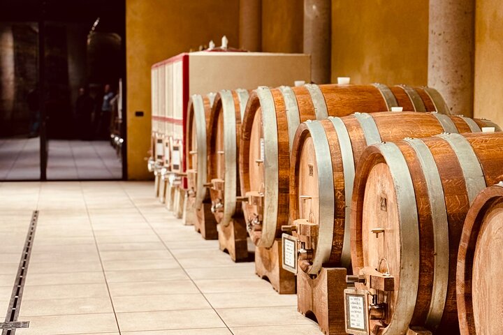 Proef Barolo en Barbaresco met een Sommelier. Wijntour door Piemonte