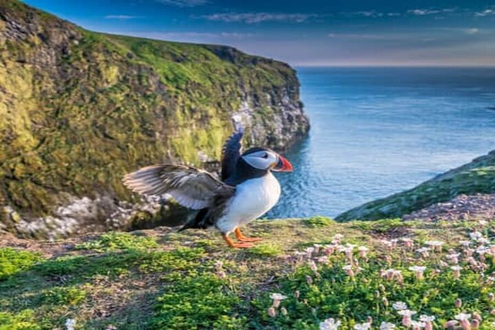 Top af Highlands Tour: John O' Groats, Caithness og mere