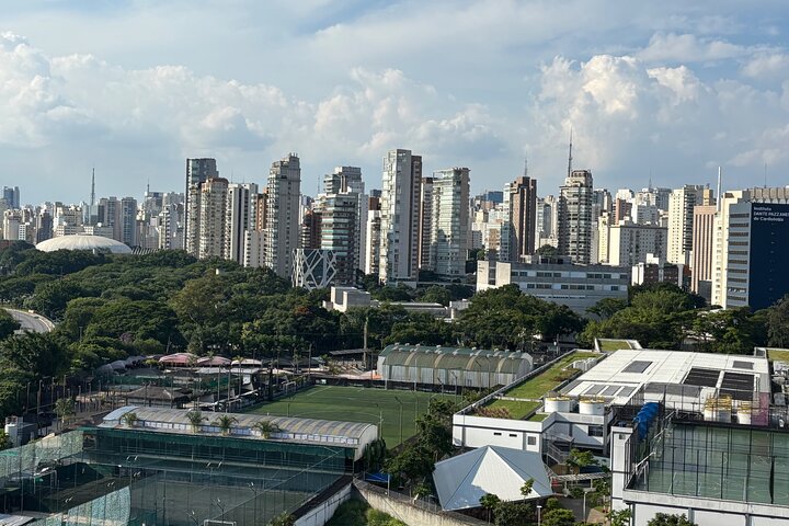 Het beste van São Paulo: Vertrekkend vanuit Santos en eindigend op de luchthaven van São Paulo