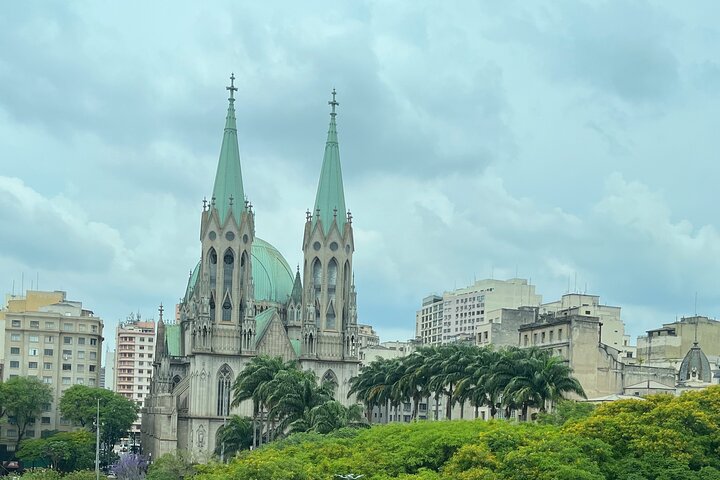 Het beste van São Paulo: Vertrekkend vanuit Santos en eindigend op de luchthaven van São Paulo