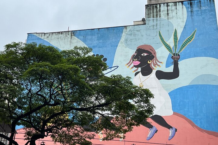 Het beste van São Paulo: Vertrekkend vanuit Santos en eindigend op de luchthaven van São Paulo