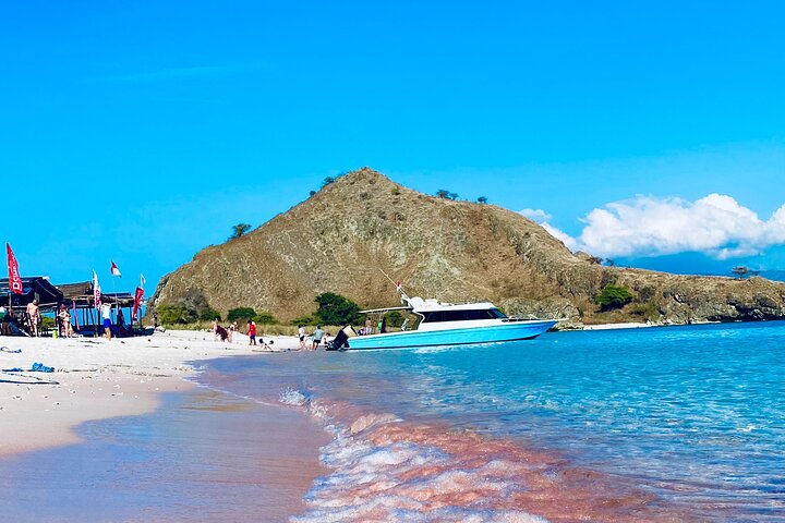 Excursão exclusiva Early Bird Komodo: Beat the Crowds por Speed Boat