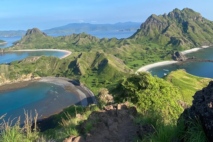 Excursão exclusiva Early Bird Komodo: Beat the Crowds por Speed Boat