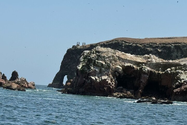 Ballestas-øyene fra Puerto San Martin