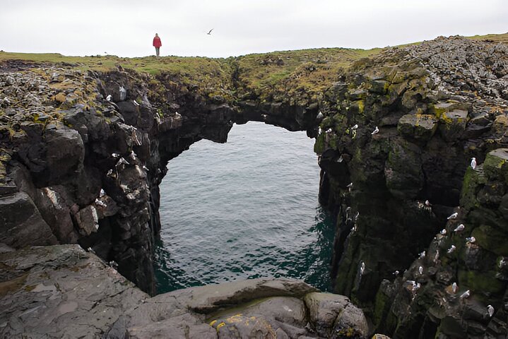 Reykjavik: Tour della penisola di Snaefellsnes per piccoli gruppi in spagnolo