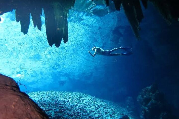 Uxmal, dois cenotes incríveis e passeio de comida local a partir de Mérida