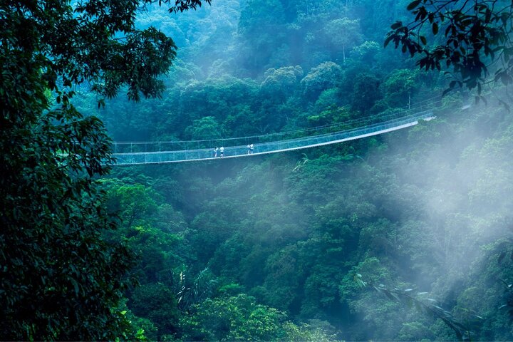 Jakarta Regenwoud Wandelen naar Verborgen Waterval & Hangbrug