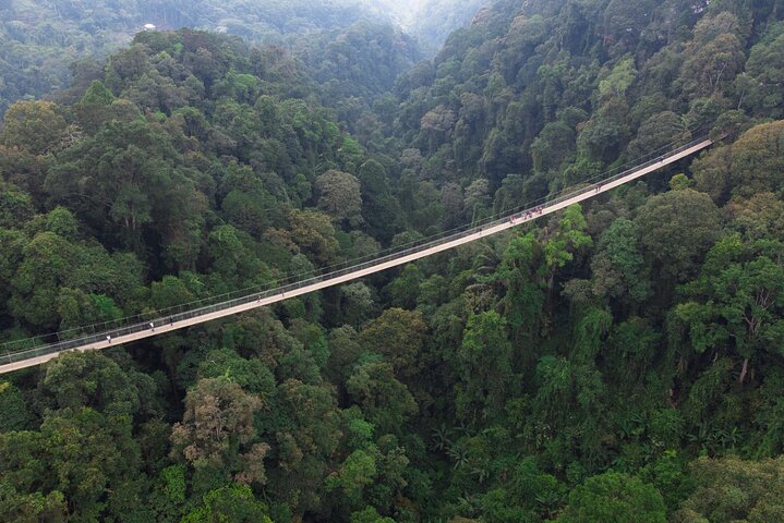 Jakarta Regenwoud Wandelen naar Verborgen Waterval & Hangbrug