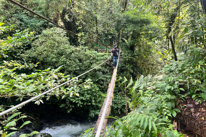 Jakarta Regenwoud Wandelen naar Verborgen Waterval & Hangbrug
