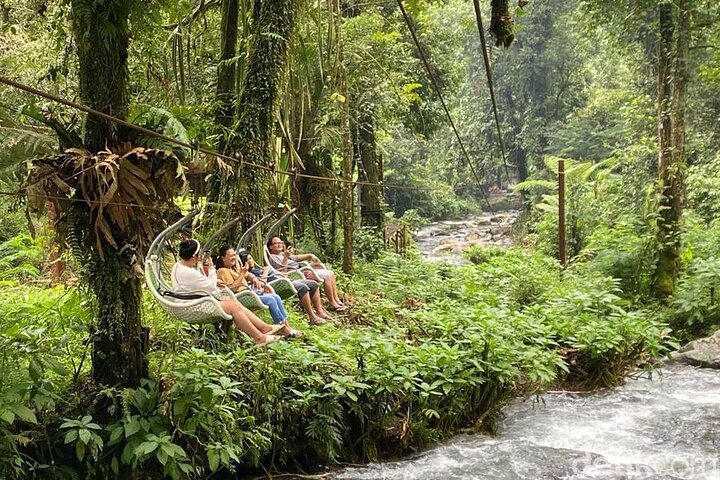 Jakarta Regenwoud Wandelen naar Verborgen Waterval & Hangbrug