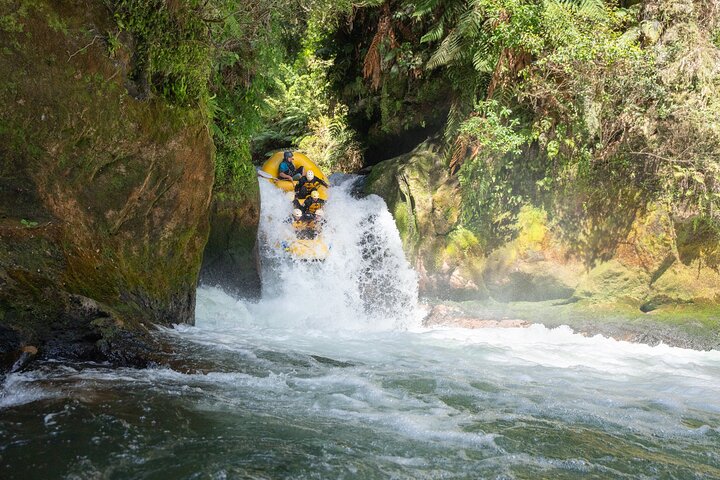 Rotorua Forsränning : Kaituna River Forsränning och gratis bastu