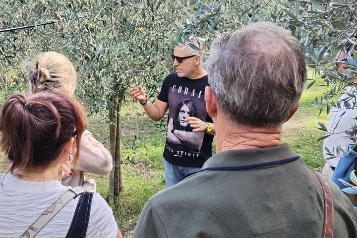 Excursion d'une journée en Toscane pour les amoureux du vin et les non-buveurs