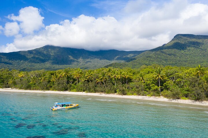 Esperienza nella Grande Barriera Corallina nell'Ocean Safari a Cape Tribulation