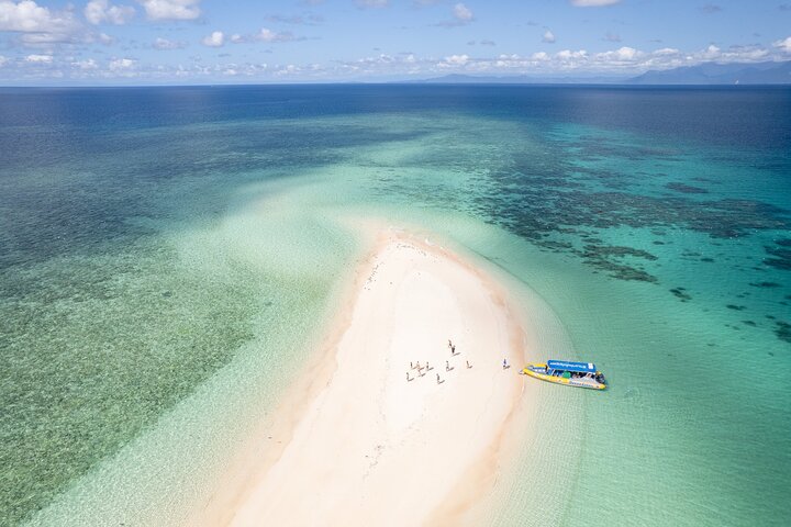 Esperienza nella Grande Barriera Corallina nell'Ocean Safari a Cape Tribulation