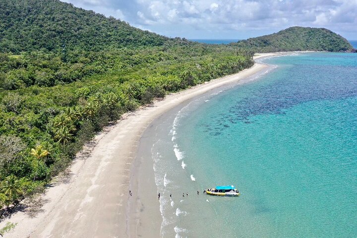 Esperienza nella Grande Barriera Corallina nell'Ocean Safari a Cape Tribulation