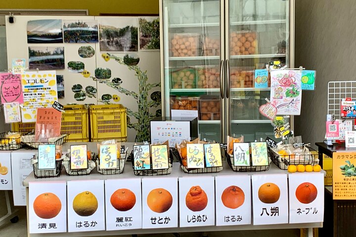Shimanami Kaido, 1-dagers avslappet øy hopping sykkeltur