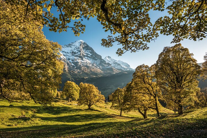 Zurich : Interlaken, Grindelwald & Lauterbrunnen guidet dagstur