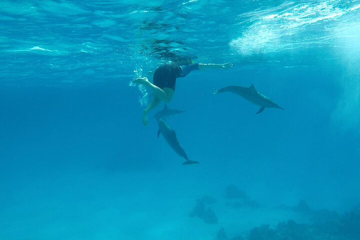 Sataya Dolphin House Aventura en barco de lujo con almuerzo
