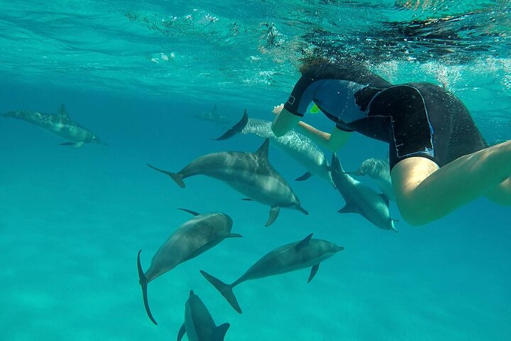 Sataya Dolphin House Aventura en barco de lujo con almuerzo