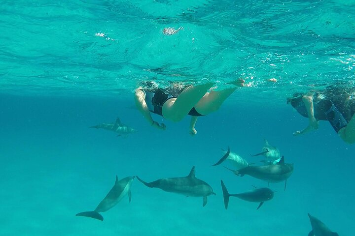 Sataya Dolphin House Aventura en barco de lujo con almuerzo